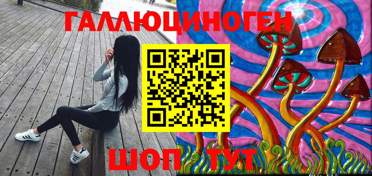 Псилоцибиновые грибы Magic Shrooms  Вход с VPN  Шарыпово  Псилоцибиновые грибы Psilocybine cubensis 
